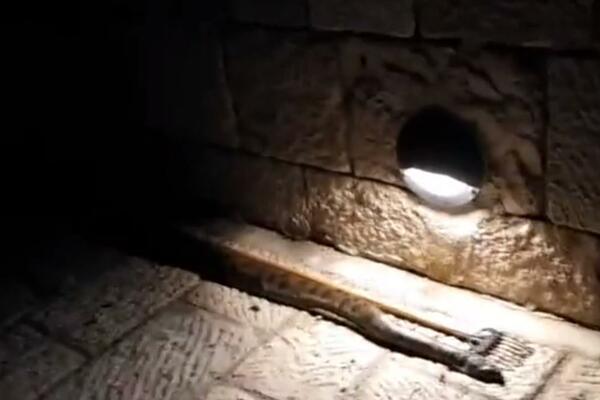 DEČACI MISLILI DA SU ULOVILI JEGULJU: Kad su počeli da izvlače MONSTRUMA OD DVA I PO METRA ZALEDILI SE! (VIDEO)