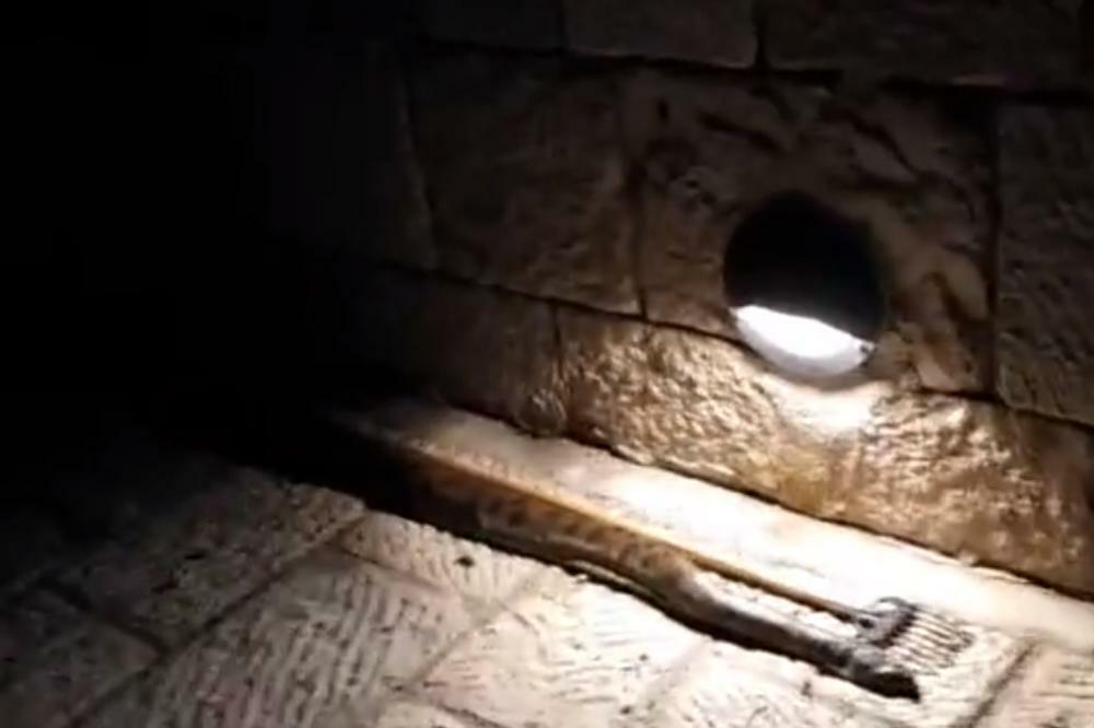 DEČACI MISLILI DA SU ULOVILI JEGULJU: Kad su počeli da izvlače MONSTRUMA OD DVA I PO METRA ZALEDILI SE! (VIDEO)