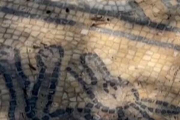 SLUČAJNO OTKRIO ISTORIJSKO BLAGO DOK JE SADIO DRVO: Neverovatno BOGATSTVO staro je oko 1.500 GODINA! (VIDEO)