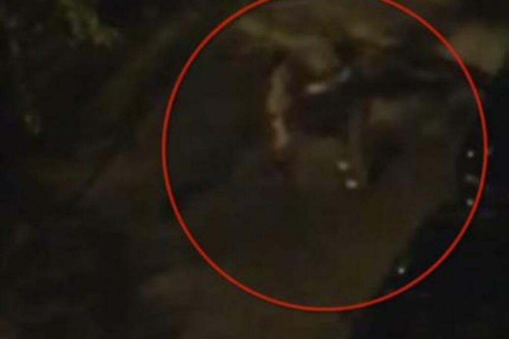 HRVATICA ODVALJUJE ŠAMARČINU DEČKU NASRED ULICE: Sve je snimljeno cela zemlja je u potpunom šoku od prizora (VIDEO)