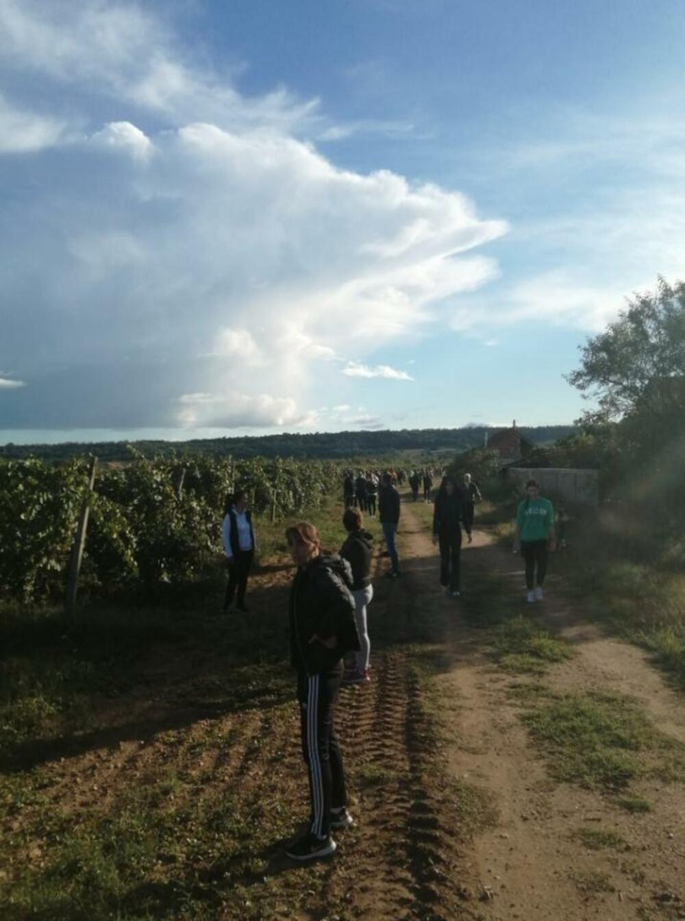 Meštani u potrazi za devojčicom