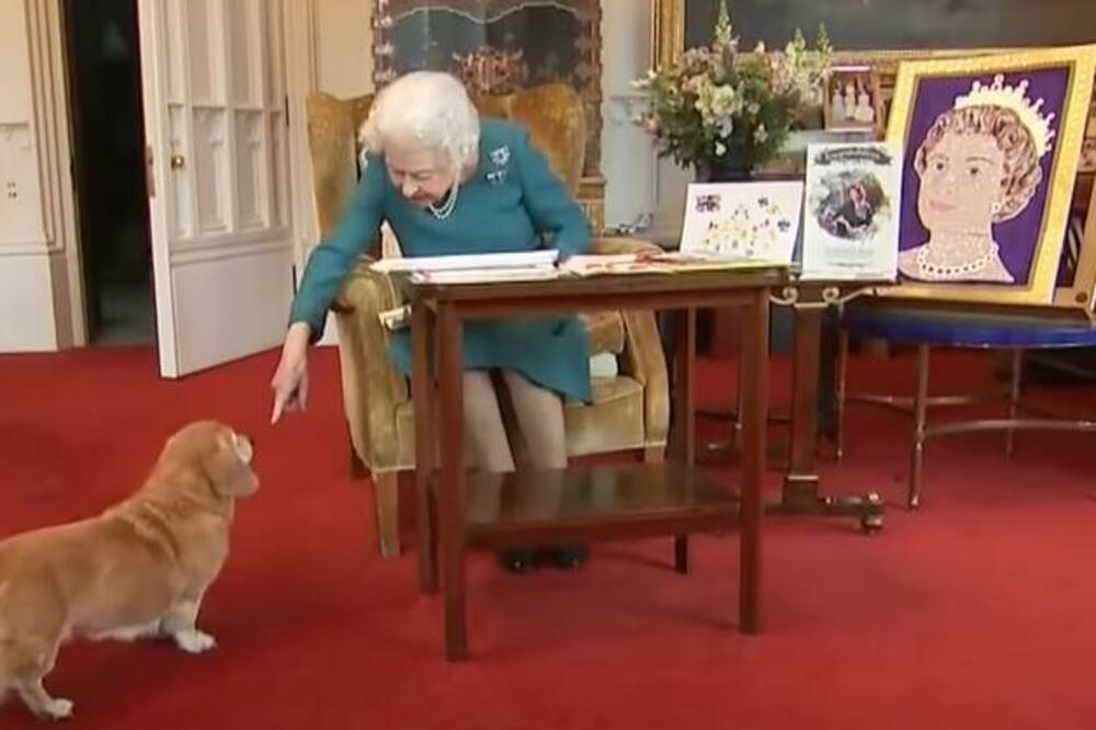 KRALJEVSKE KUCE TUGUJU ZA VOLJENOM VLASNICOM: Neutešni nakon SMRTI kraljice ELIZABETE, vidi se po PONAŠANJU (VIDEO)