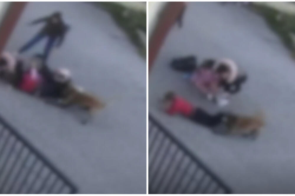 PAS IZUJEDAO ĐAKA PRVAKA ISPRED ŠKOLE! Sav HOROR SNIMLJEN, a evo šta će biti sa životinjom (UZNEMIRUJUĆ VIDEO)