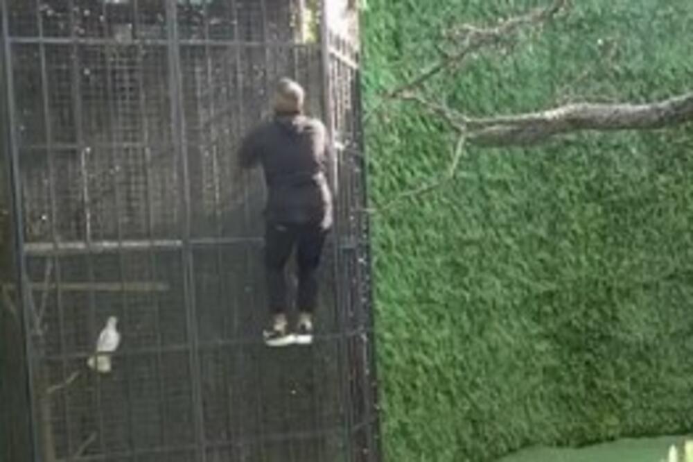 ZADRUGAR UPRAVO POKUŠAO DA POBEGNE IZ ZADRUGE: Prizor kao iz FILMOVA, prave ŠOK SCENE