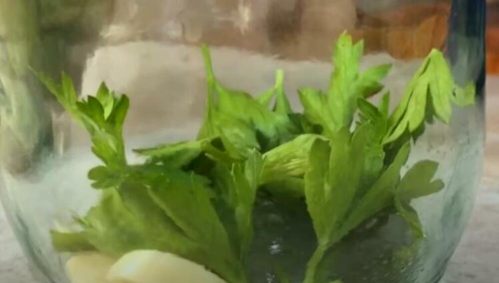 Zeleni kiseli krastavac