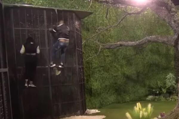 DRAMA U ZADRUZI: Odlučili ZAJEDNO DA POBEGNU iz rijalitija, nisu mogli da izdrže BEZ OVOGA