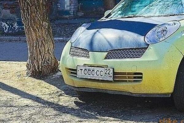 MOŽETE LI DA VIDITE MAČKU NA SLICI? Samo retki uspevaju iz prve, proverite da li ste među 2 odsto ljudi