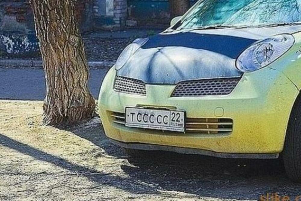 MOŽETE LI DA VIDITE MAČKU NA SLICI? Samo retki uspevaju iz prve, proverite da li ste među 2 odsto ljudi