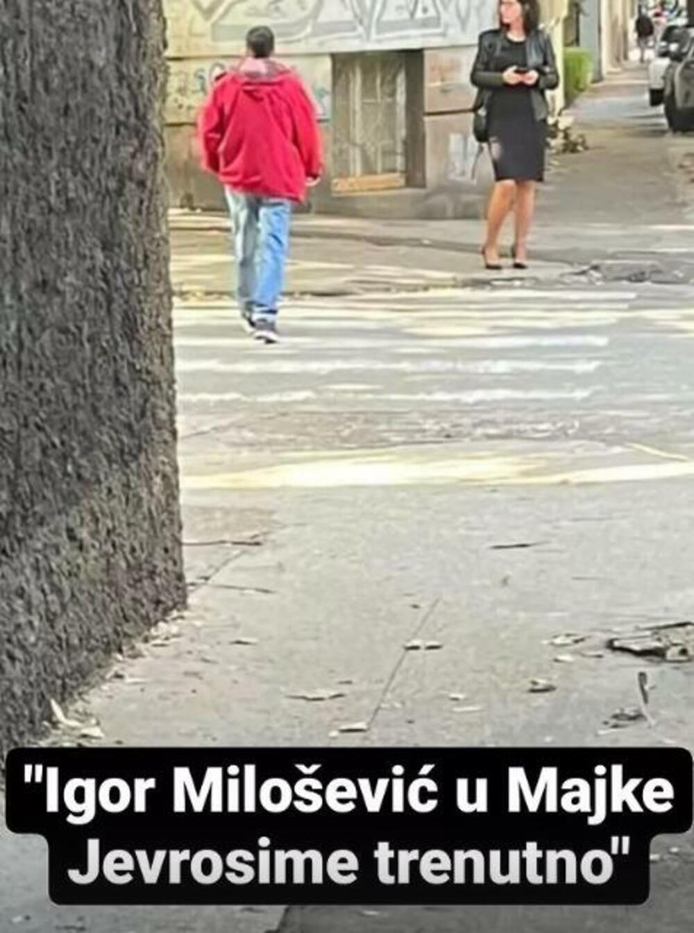 Igor Milošević