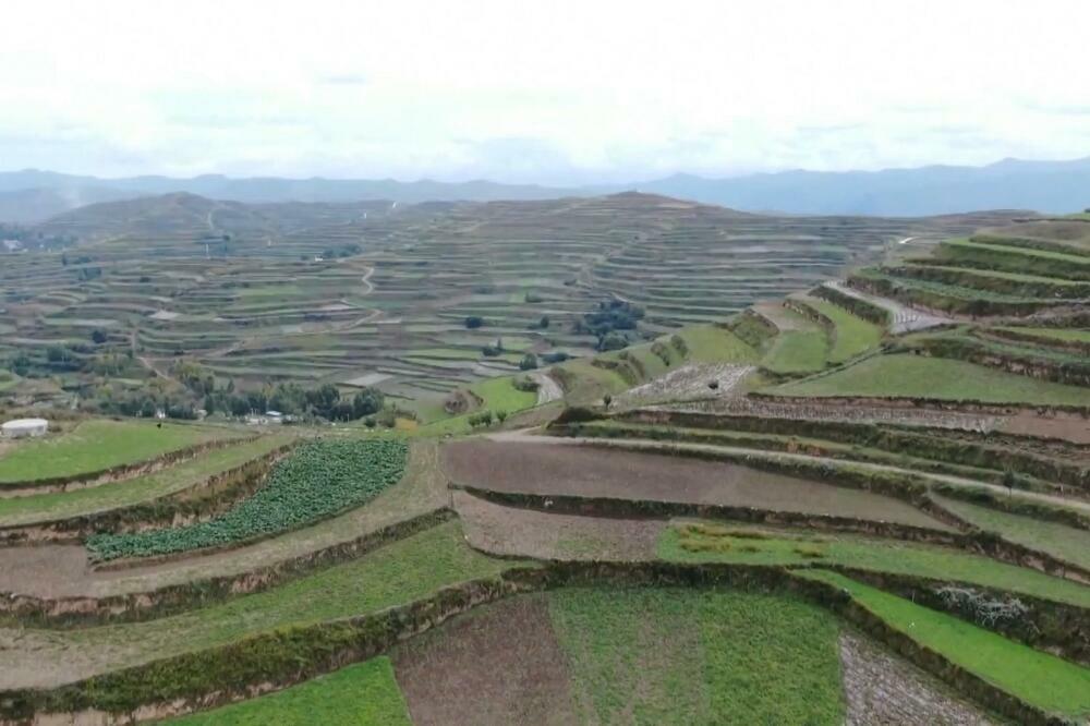 Više od 63.000 poljoprivrednih proizvoda sa zelenim organskim geografskim oznakama u Kini (VIDEO)