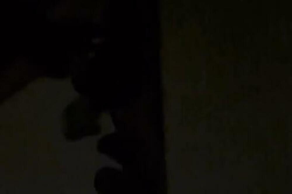 HELIKOPTERI SATIMA NADLEĆU BEOGRAD: Građani UZNEMIRENI, POGLEDAJTE ŠTA SE DEŠAVA (VIDEO)