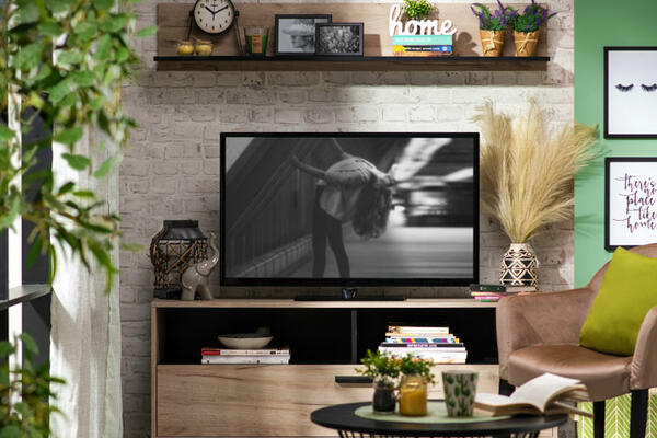 Da li je TV zaista toliko važan?