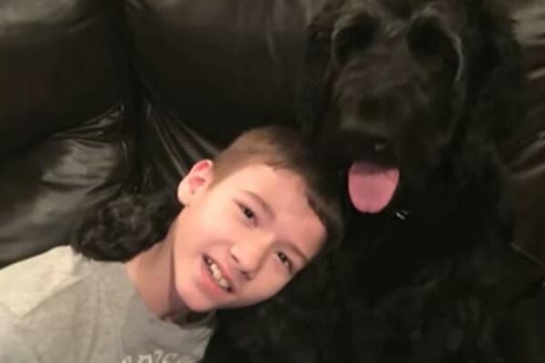 DEČAK I PAS IZBAČENI IZ AVIONA, NASTAO SKANDAL SVETSKIH RAZMERA: Da li je moguće da su im ovo uradili (VIDEO)