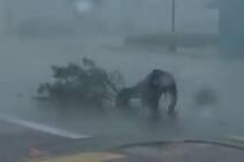 REPORTER IZVEŠTAVAO TOKOM RAZORNOG TORNADA, PA DOŽIVEO ŠOK: Udarila ga GRANA, jedva ostao na NOGAMA! (VIDEO)
