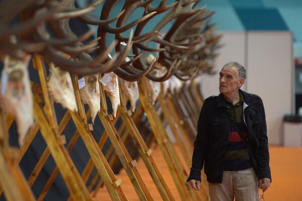 MEĐUNARODNI SAJAM LOVA I RIBOLOVA U TOKU! Na Novosadskom sajmu do nedelje čeka 100 izlagača