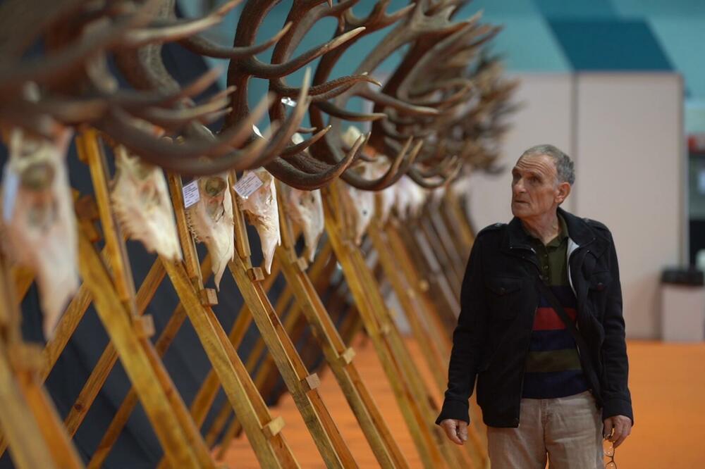 MEĐUNARODNI SAJAM LOVA I RIBOLOVA U TOKU! Na Novosadskom sajmu do nedelje čeka 100 izlagača