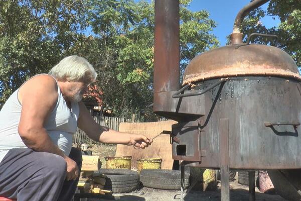 DRŽAVA DAJE SUBVENCIJE ZA PROIZVODNJU OMILJENOG PIĆA SVAKOG SRBINA: Svaka prava domaćinska kuća je pravi