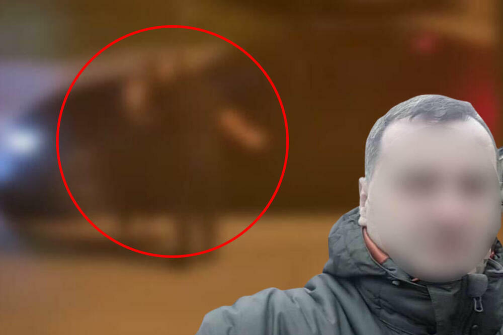 SRAMNA ODBRANA NASILNIKA IZ MLADENOVCA: Tukao ženu na ulici, pa rekao da je OVO MOTIV!