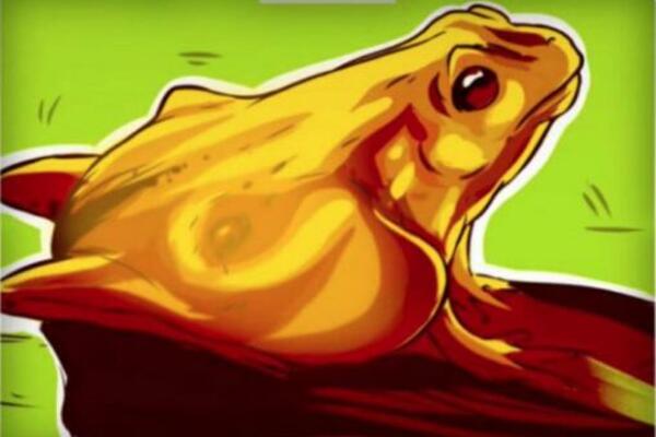 ŽIVOTINJA KOJU STE PRVU ZAPAZILI OTKIĆE NEŠTO NOVO O VAMA! Šta ste prvo ugledali? (FOTO)