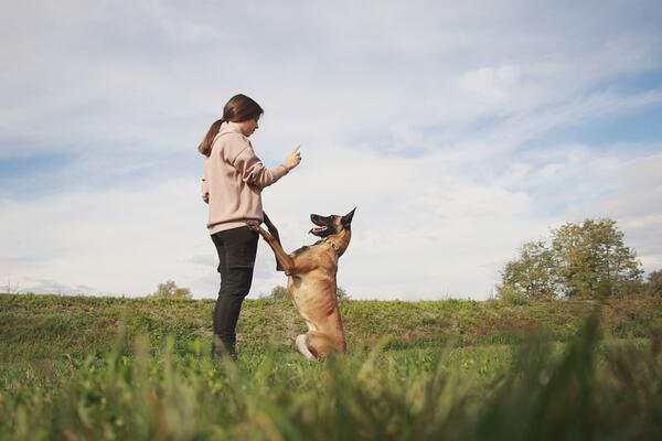 MILICA IMA SAMO 19 GODINA, A NEUSTRAŠIVA JE: Od malih nogu je i NAJOPASNIJIM PSIMA prilazila bez straha (FOTO)
