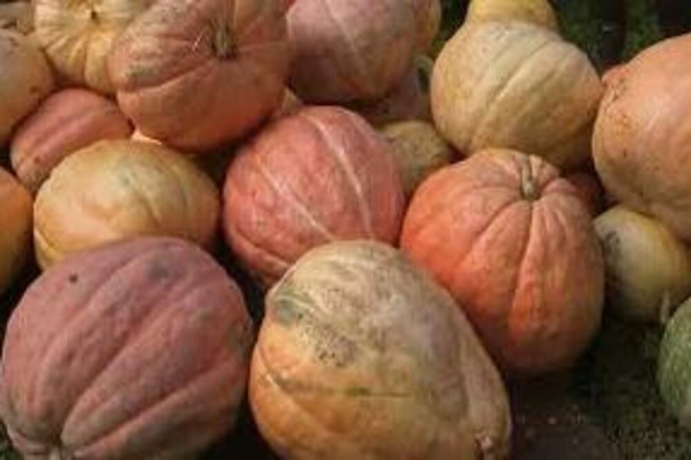 OVO ĆE VAM SE DESITI AKO JEDETE BUNDEVU SVAKI DAN