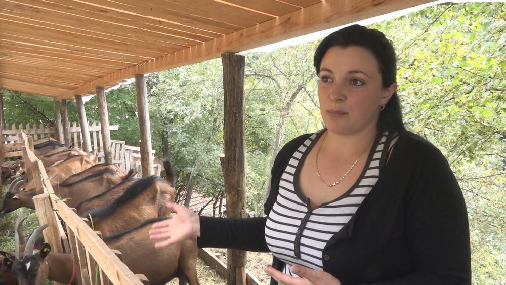 Jarići, Jare, Samira Fazlić, Prijepolje