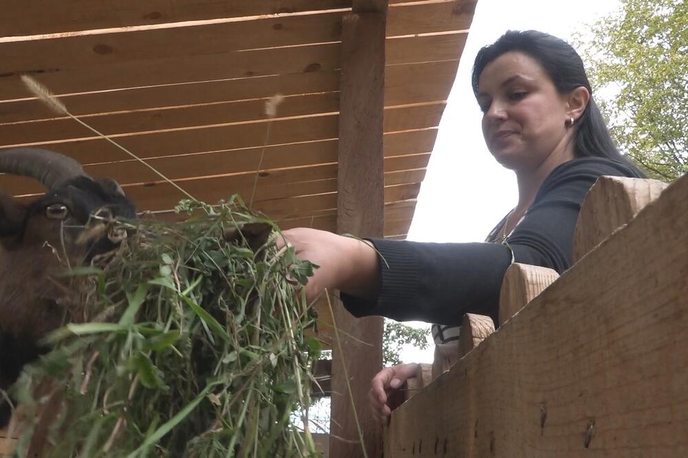 FAZLIĆI IZ MILEŠEVE KOD PRIJEPOLJA OD OVOGA SU NAPRAVILI UNOSAN BIZNIS: Sve što naprave ODMAH PRODAJU! (FOTO)