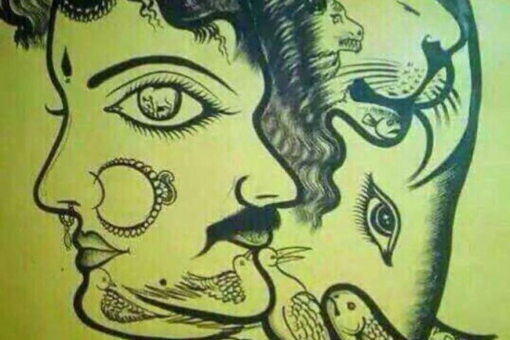 TESTIRAJTE MOĆ ZAPAŽANJA: Koliko životinja možete videti na OVOJ slici za 20 sekundi?