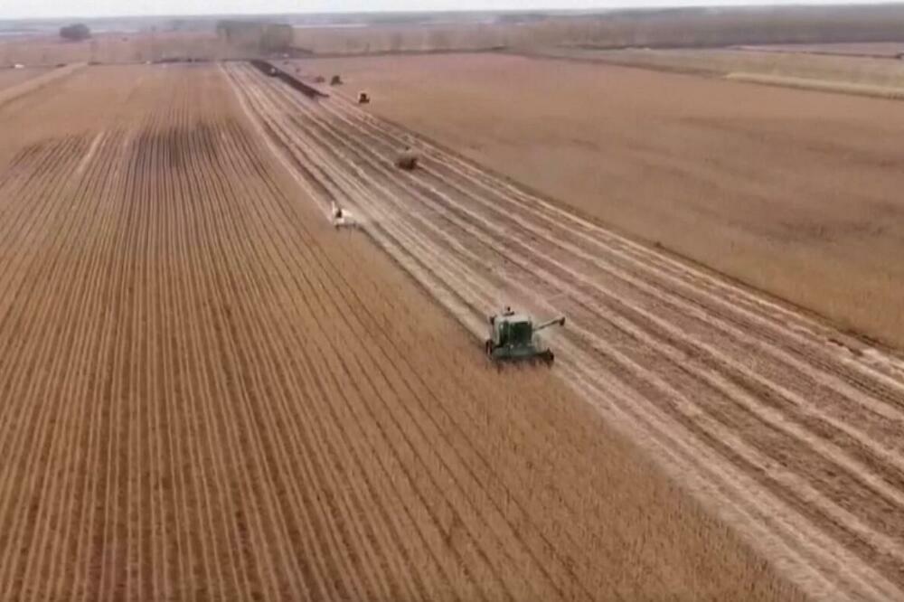 Kina: Završeno preko 40 odsto jesenje žetve! Prinos 1,8 miliona hektara dnevno VIDEO