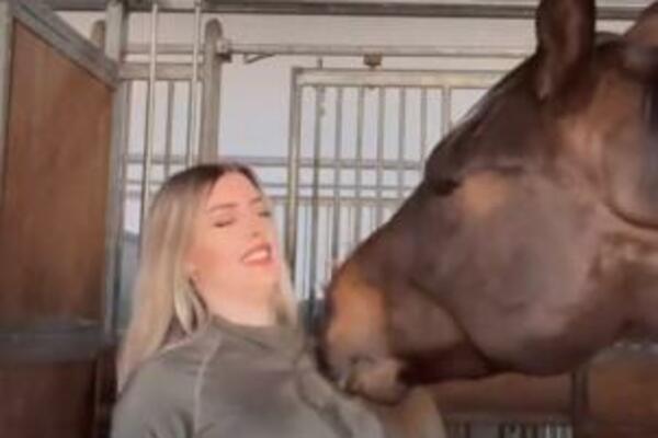 URNEBESAN SNIMAK ŠIRI SE DRUŠTVENIM MREŽAMA: Konj prišao VLASNICI, pa uradio nešto NEUOBIČAJENO, ljudi se KRSTILI