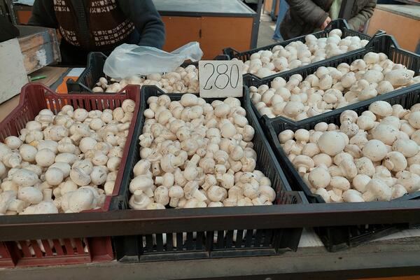 OVO SU GLAVNI SIMPTOMI TROVANJA PEČURKAMA: Ako ne reagujete HITNO, može da bude KASNO