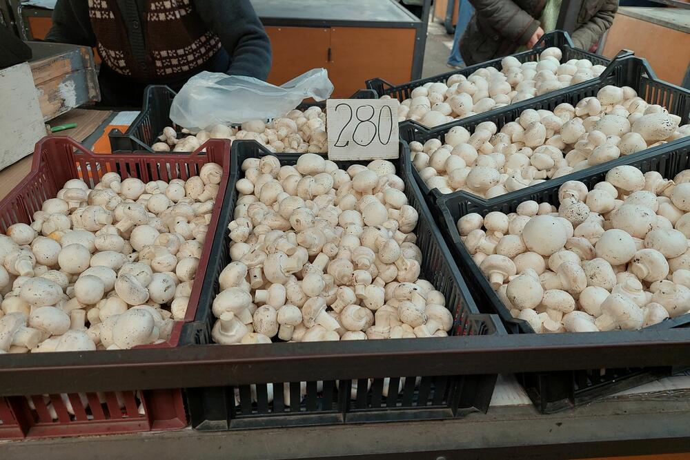 OVO SU GLAVNI SIMPTOMI TROVANJA PEČURKAMA: Ako ne reagujete HITNO, može da bude KASNO