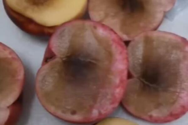 SRPKINJA KUPILA NEKTARINE U OKTOBRU PA SE ZGROZILA KAD IH JE PRESEKLA: Ono što je UNUTRA nateraće vas da POVRATITE