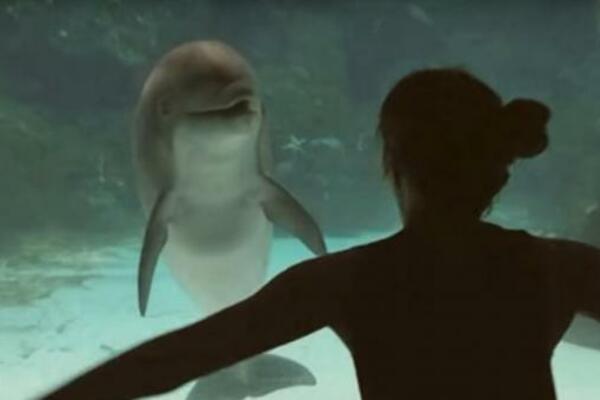 PRIŠLA JE AKVARIJUMU SA DELFINOM, DOK SU KAMERE SNIMALE: Ljudi su ostali nemi na ono što se desilo (VIDEO)