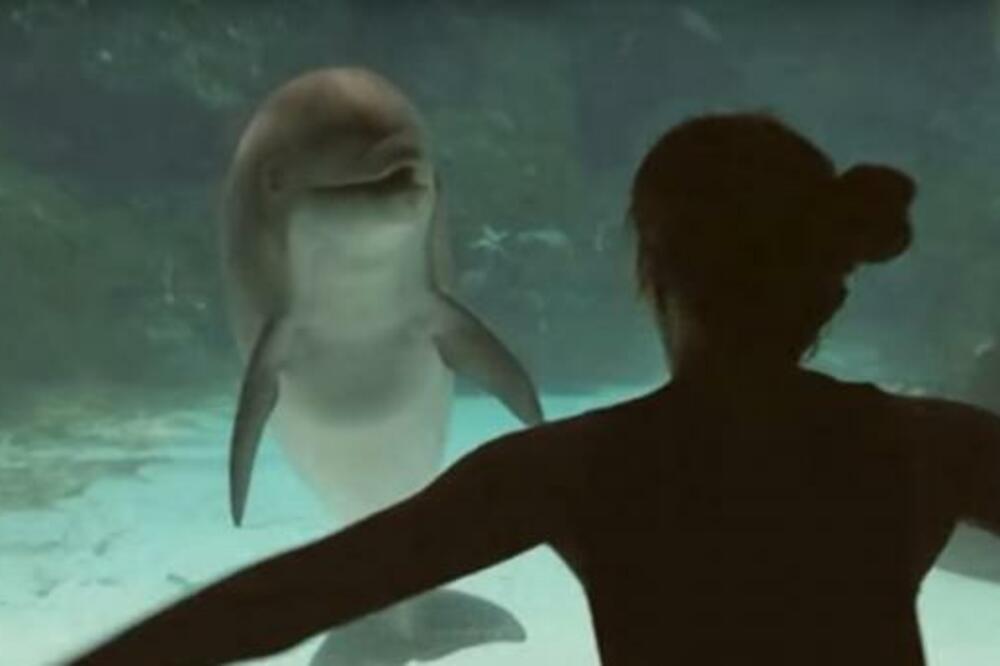 PRIŠLA JE AKVARIJUMU SA DELFINOM, DOK SU KAMERE SNIMALE: Ljudi su ostali nemi na ono što se desilo (VIDEO)
