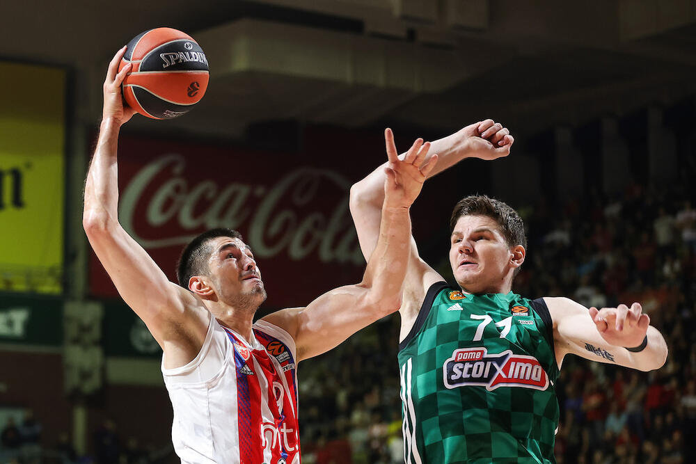 Luka Mitrović na utakmici Crvene zvezde i Panatinaikosa