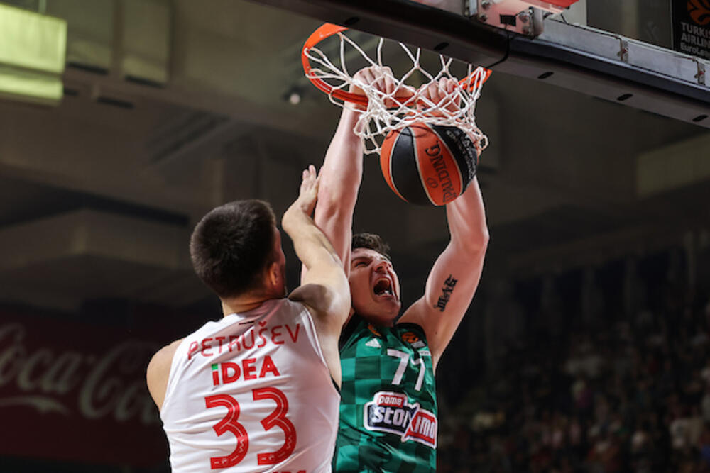 Zvezda - Panatinaikos