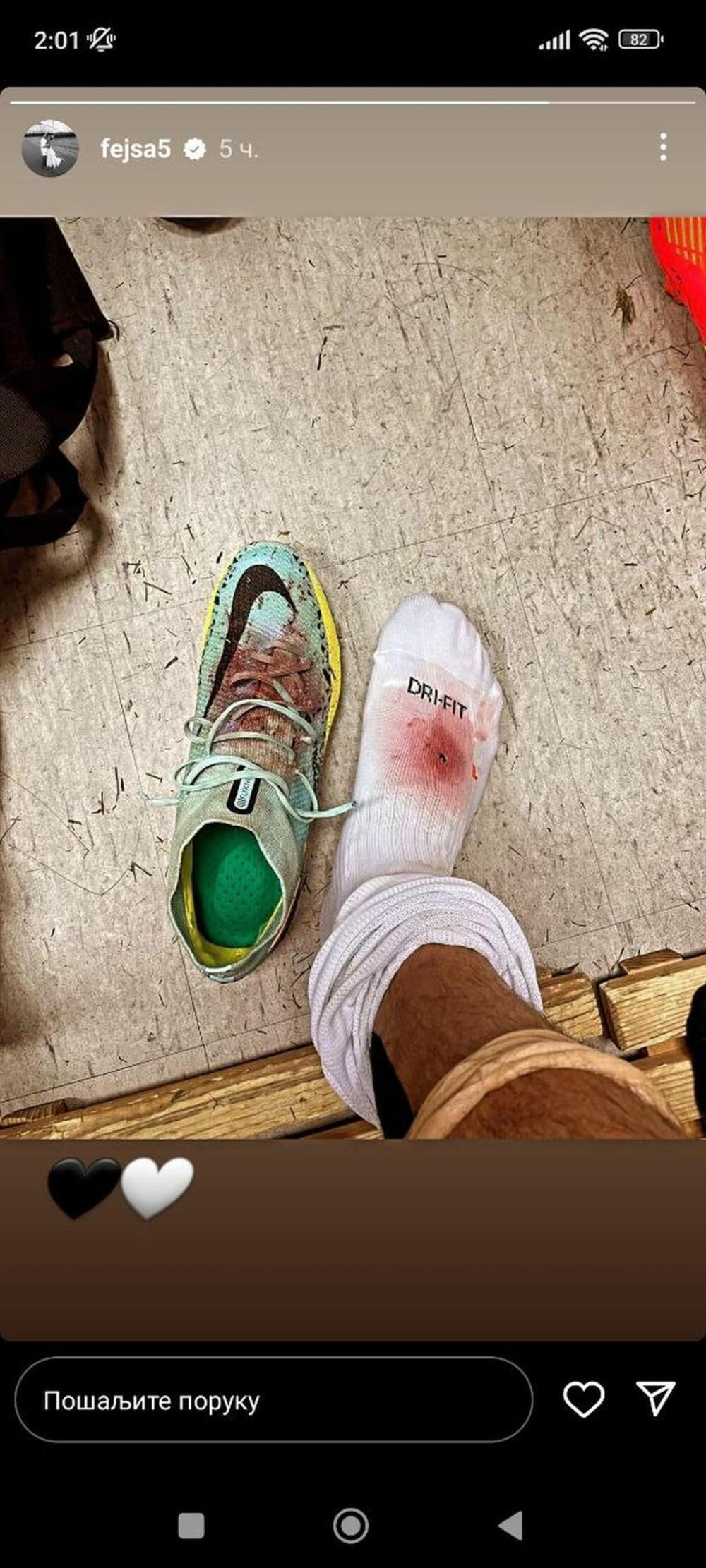 Ljubomir Fejsa, FK Partizan, Kopačka