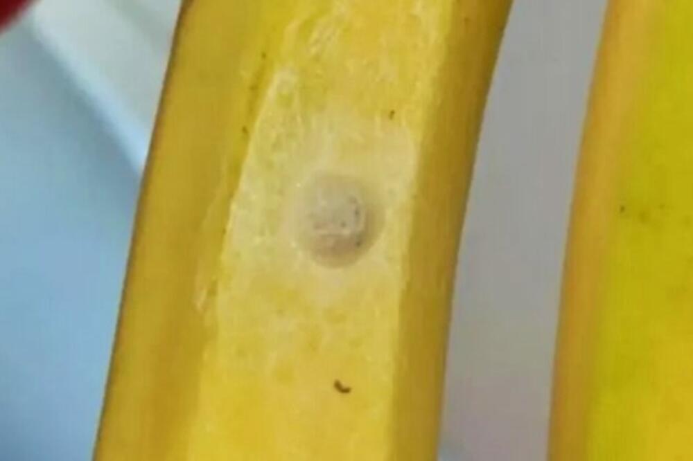 STAVITE OVU U SAKSIJU I FILADEDREON ĆE RASTI KAO IZ VODE: Prirodno ĐUBRIVO za biljke 0 DINARA, a pravi ČUDO