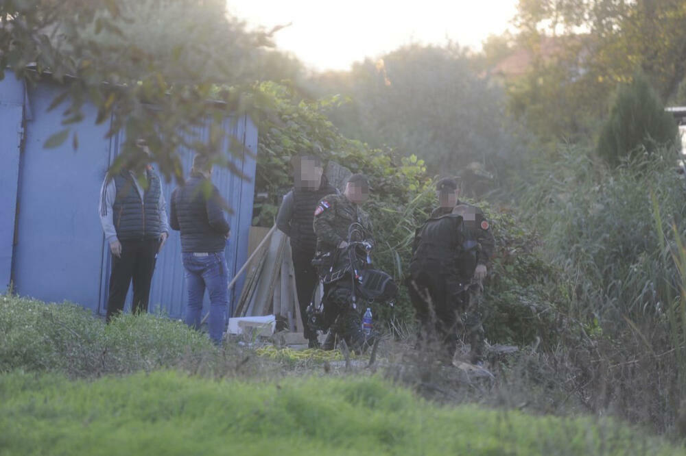 PAS PRONAŠAO LEŠ U FAZI RASPADANJA KOD NIŠA: Doneo OSTATKE TELA u dvorište, meštani mesecima osećali užasan SMRAD