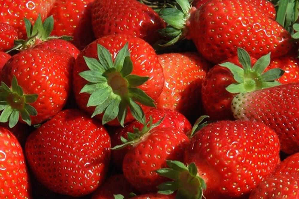 ZABORAVIĆETE NA DŽEM: Recept za SIROVI PEKMEZ od JAGODA koji će SRBIMA naterati vodu na usta