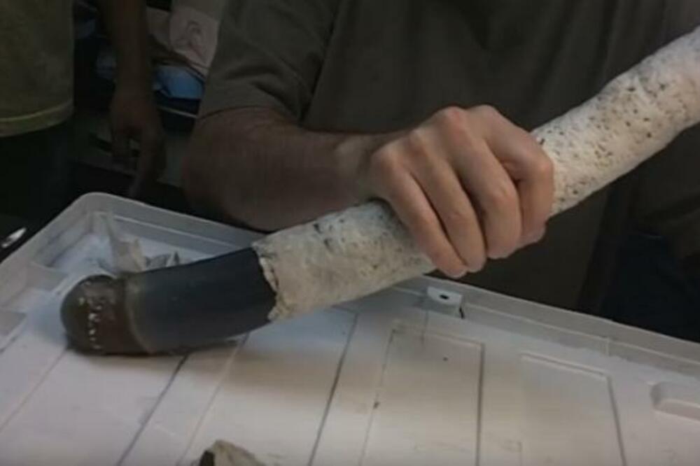 PRONAŠLI SU NAJVEĆEG CRVA IKADA I RASPORILI GA ODMAH: Sledili su se u mestu kada su videli šta je unutra (VIDEO)