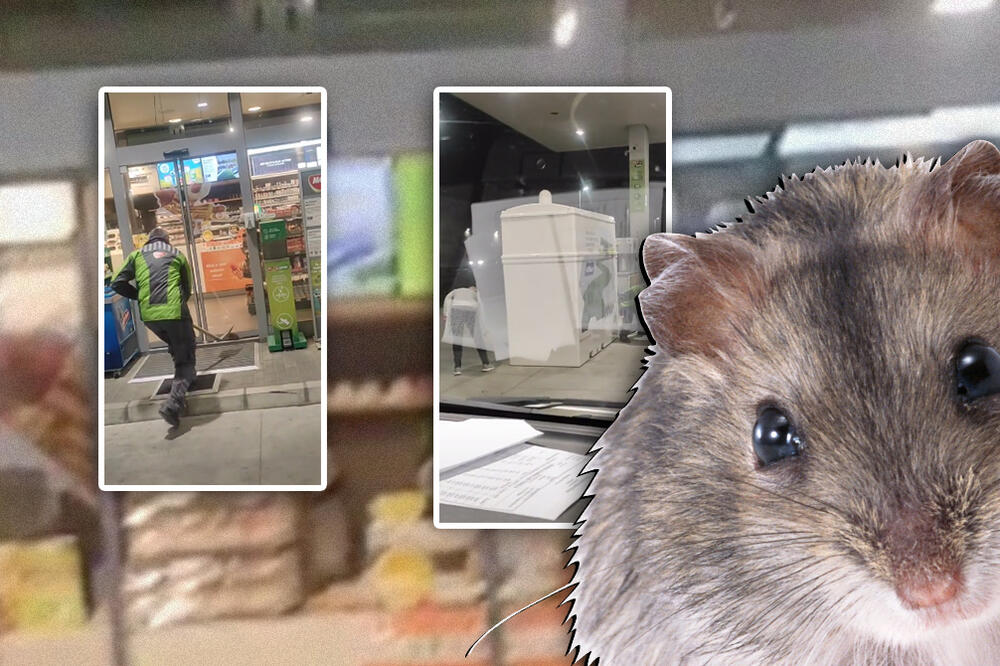 PUMPADŽIJI PRIPALO MUKA ZBOG NJEGA! Taman kad je pomislio da ga se REŠIO, nastao VEĆI HAOS, sve je snimljeno! VIDEO