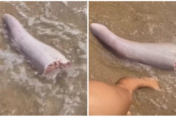 DEVOJKA NAIŠLA NA "ČUDNI" ORGAN NA PLAŽI: Veličine je kao njena CELA NOGA, a evo i šta je u PITANJU, ŠOK! (VIDEO)