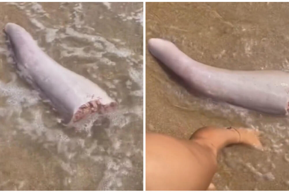 DEVOJKA NAIŠLA NA "ČUDNI" ORGAN NA PLAŽI: Veličine je kao njena CELA NOGA, a evo i šta je u PITANJU, ŠOK! (VIDEO)