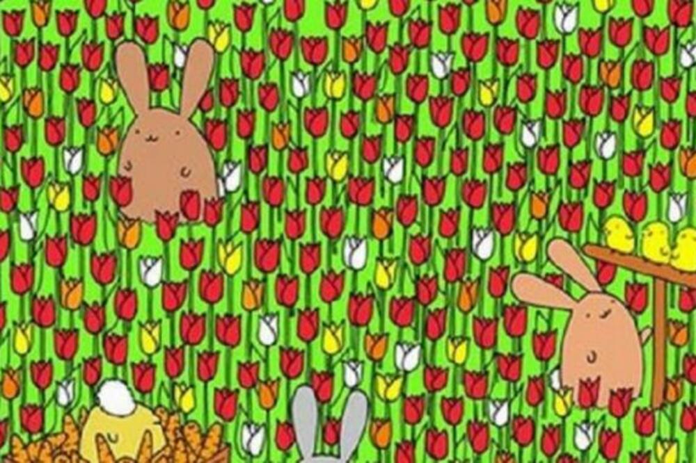 SKRIVALICA KOJA ĆE VAM ZADATI MUKE: Samo retki mogu da je reše za MANJE OD MINUT, da li ste među njima? (FOTO)