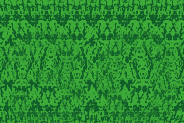 ZBOLEĆE VAS OČI A NEĆETE POGODITI: Da li vidite BROJ na ovoj fotografiji? (FOTO)