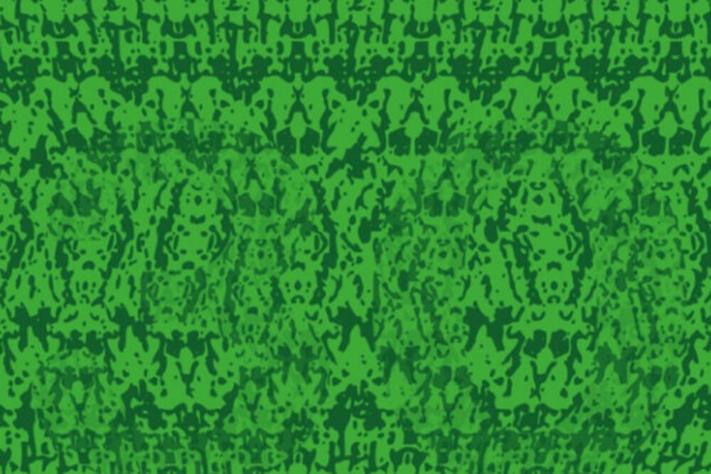 ZBOLEĆE VAS OČI A NEĆETE POGODITI: Da li vidite BROJ na ovoj fotografiji? (FOTO)