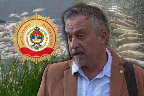 U DRINI SE DESIO NAJMASOVNIJI POMOR RIBA U POSLEDNJE 2 DECENIJE: Pitali smo NADLEŽNE ko je ODGOVORAN za KATASTROFU!