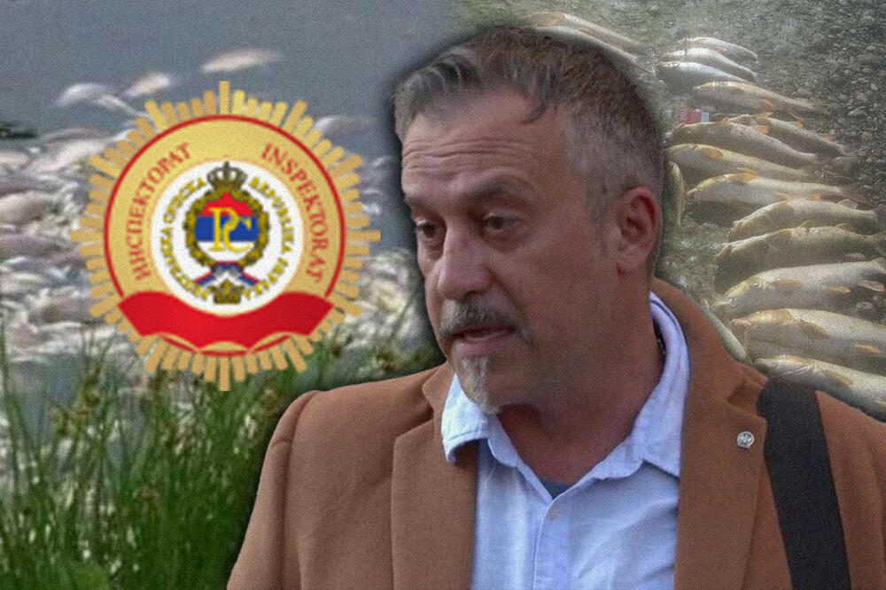 U DRINI SE DESIO NAJMASOVNIJI POMOR RIBA U POSLEDNJE 2 DECENIJE: Pitali smo NADLEŽNE ko je ODGOVORAN za KATASTROFU!